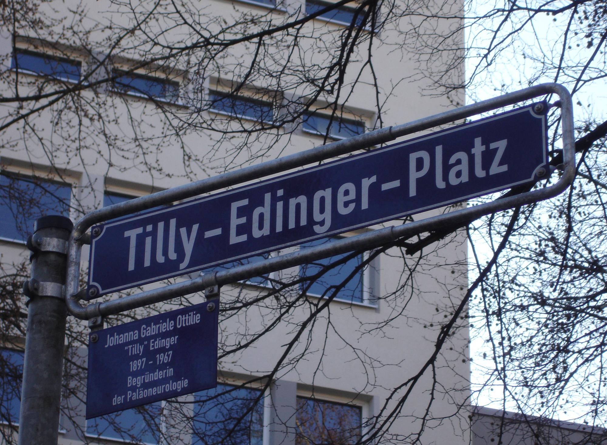 Tilly Edinger Platz in Frankfurt-Bockenheim, nahe ihrer ersten Forschungsstelle im Senckenberg Museum