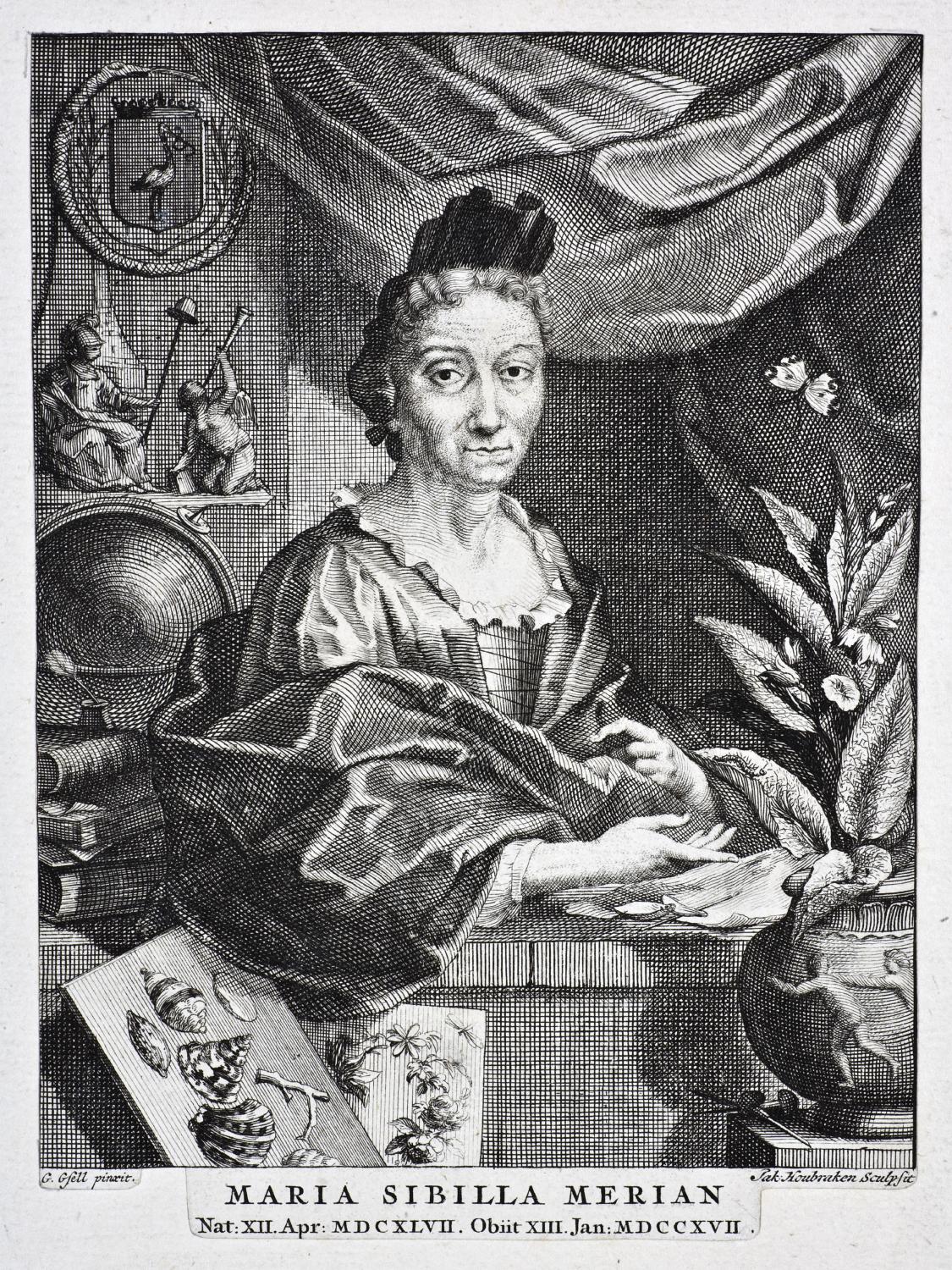 Maria Sibylla Merian als ältere Frau, mit Bildern von Insekten und Blumen (Kupferstich G. Gsell/J. Houbraken)
